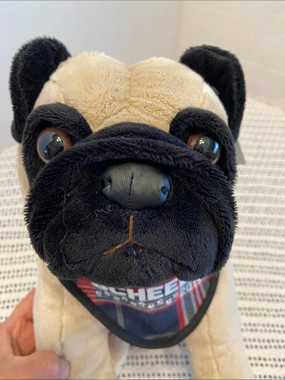 Scheels 2019 Jaag Plush Pug Dog Stuffed Animal Sitting 11